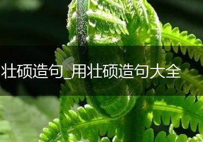 壮硕造句_用壮硕造句大全