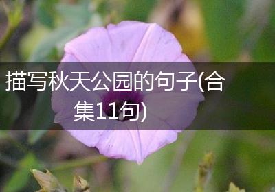 描写秋天公园的句子(合集11句)