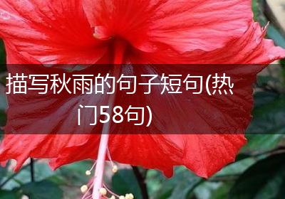 描写秋雨的句子短句(热门58句)