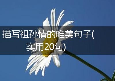 描写祖孙情的唯美句子(实用20句)