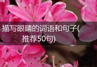 描写眼睛的词语和句子(推荐50句)