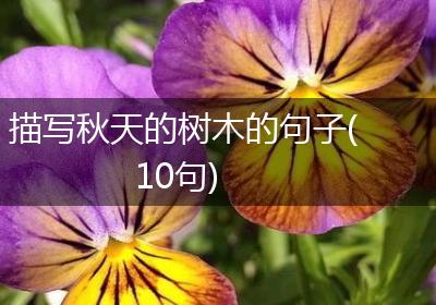 描写秋天的树木的句子(10句)