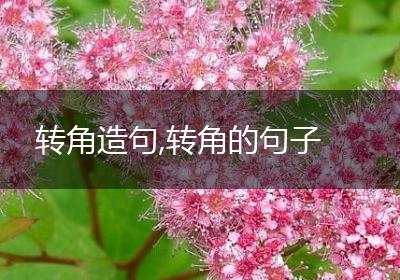 转角造句,转角的句子