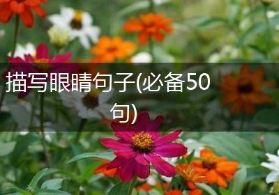 描写眼睛句子(必备50句)