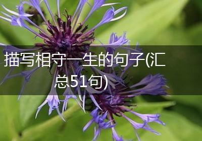 描写相守一生的句子(汇总51句)