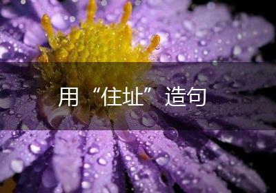 用“住址”造句