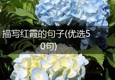 描写红霞的句子(优选50句)