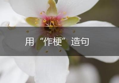 用“作梗”造句