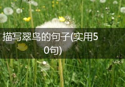 描写翠鸟的句子(实用50句)