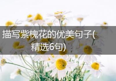 描写紫槐花的优美句子(精选6句)