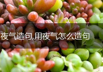 夜气造句,用夜气怎么造句