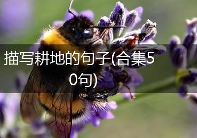 描写耕地的句子(合集50句)