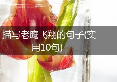 描写老鹰飞翔的句子(实用10句)