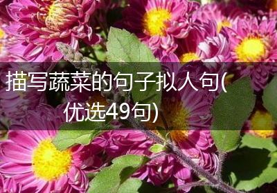描写蔬菜的句子拟人句(优选49句)