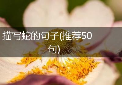 描写蛇的句子(推荐50句)