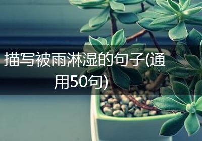 描写被雨淋湿的句子(通用50句)