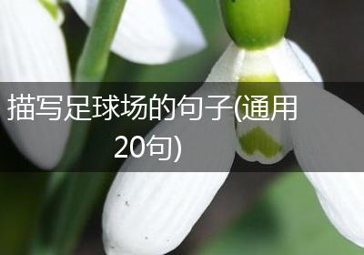 描写足球场的句子(通用20句)