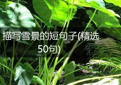 描写雪景的短句子(精选50句)