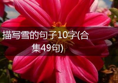 描写雪的句子10字(合集49句)