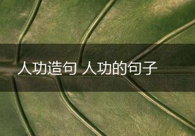 人功造句 人功的句子
