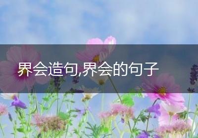 界会造句,界会的句子