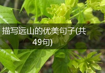 描写远山的优美句子(共49句)