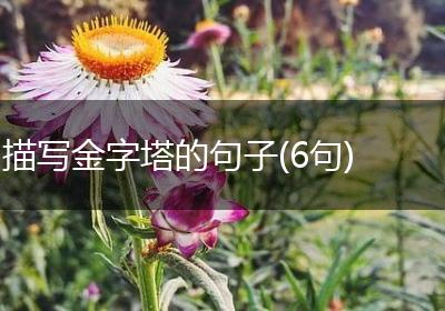 描写金字塔的句子(6句)