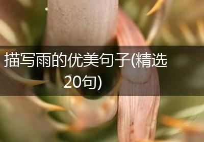 描写雨的优美句子(精选20句)