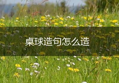 桌球造句怎么造