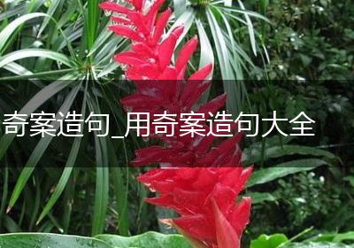 奇案造句_用奇案造句大全