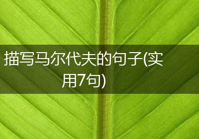 描写马尔代夫的句子(实用7句)