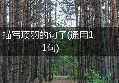 描写项羽的句子(通用11句)
