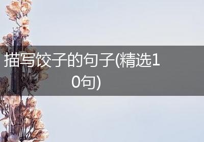描写饺子的句子(精选10句)