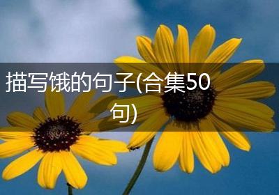 描写饿的句子(合集50句)