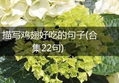 描写鸡翅好吃的句子(合集22句)