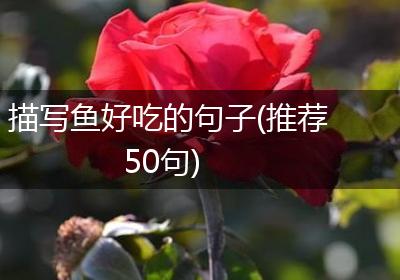 描写鱼好吃的句子(推荐50句)