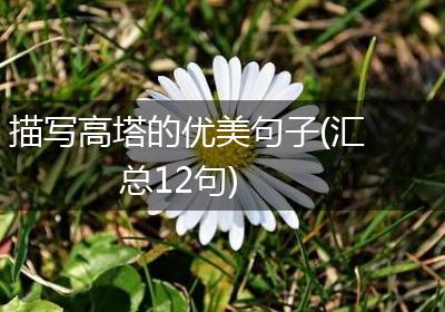 描写高塔的优美句子(汇总12句)