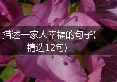 描述一家人幸福的句子(精选12句)