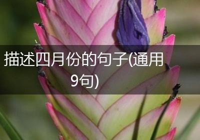 描述四月份的句子(通用9句)