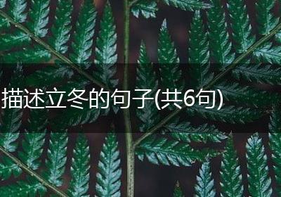描述立冬的句子(共6句)