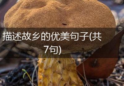 描述故乡的优美句子(共7句)