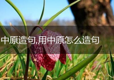 中原造句,用中原怎么造句