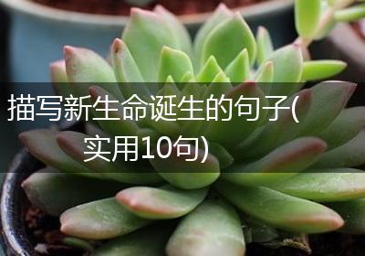 描写新生命诞生的句子(实用10句)