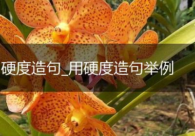 硬度造句_用硬度造句举例