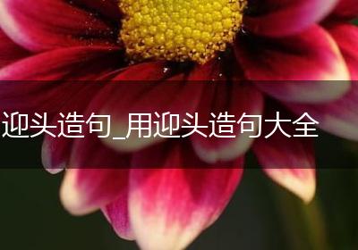 迎头造句_用迎头造句大全