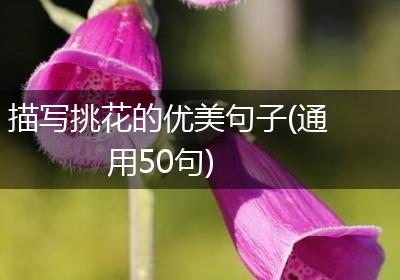 描写挑花的优美句子(通用50句)