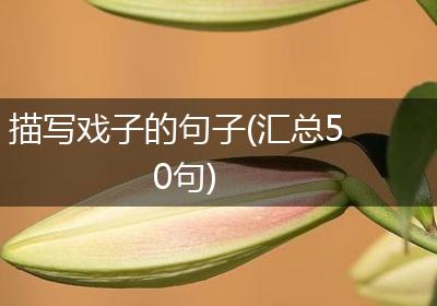 描写戏子的句子(汇总50句)