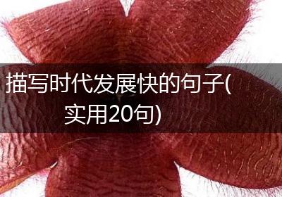描写时代发展快的句子(实用20句)