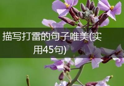 描写打雷的句子唯美(实用45句)