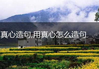 真心造句,用真心怎么造句